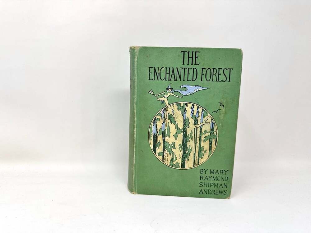 The Enchanted Forest & Other Stories 
Mary Shipman antique illustrated kids book